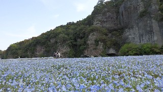 f:id:Minow:20220425211824j:image f:id:Minow:20220425211824j:image