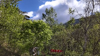 f:id:Minow:20220523174053j:image f:id:Minow:20220523174053j:image
