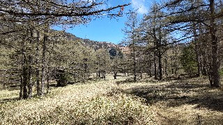 f:id:Minow:20220523201712j:image f:id:Minow:20220523201712j:image