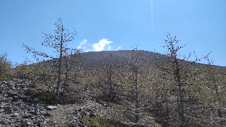 f:id:Minow:20220523201840j:image f:id:Minow:20220523201840j:image