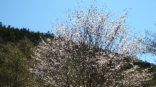 f:id:Minow:20220524085456j:image f:id:Minow:20220524085456j:image