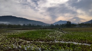 f:id:Minow:20220619204558j:image
