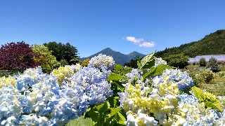 f:id:Minow:20220703073655j:image f:id:Minow:20220703073655j:image