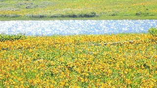 f:id:Minow:20220721115322j:image f:id:Minow:20220721115322j:image