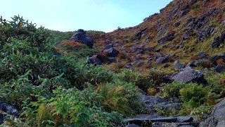 f:id:Minow:20221010083919j:image
