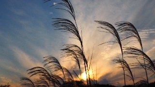 f:id:Minow:20221023210300j:image