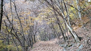f:id:Minow:20221112102400j:image f:id:Minow:20221112102400j:image