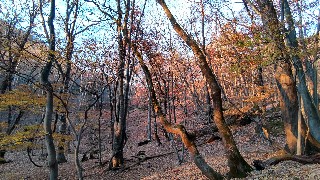 f:id:Minow:20221112113535j:image f:id:Minow:20221112113535j:image