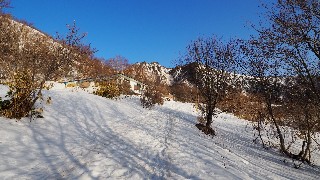 f:id:Minow:20230312183416j:image