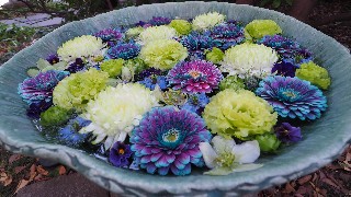 f:id:Minow:20230313164651j:image