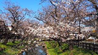 f:id:Minow:20230322075223j:image f:id:Minow:20230322075223j:image