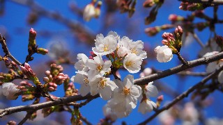 f:id:Minow:20230322075548j:image f:id:Minow:20230322075548j:image