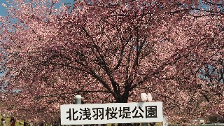 f:id:Minow:20230322080911j:image f:id:Minow:20230322080911j:image