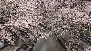 f:id:Minow:20230328055259j:image