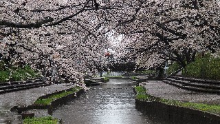 f:id:Minow:20230328055318j:image