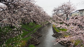 f:id:Minow:20230328055341j:image