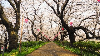 f:id:Minow:20230328055605j:image