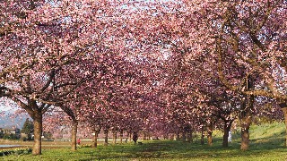 f:id:Minow:20230328060037j:image