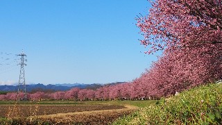 f:id:Minow:20230328060145j:image