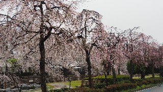 f:id:Minow:20230328062313j:image