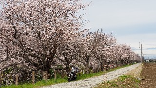 f:id:Minow:20230328063811j:image