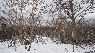 f:id:Minow:20230503072328j:image