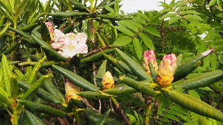 f:id:Minow:20230708151037j:image