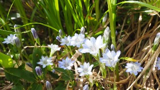 f:id:Minow:20230708151103j:image