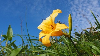 f:id:Minow:20230708151123j:image