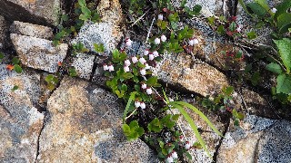 f:id:Minow:20230708151306j:image