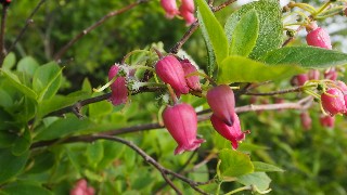 f:id:Minow:20230708151447j:image