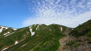 f:id:Minow:20230708152059j:image