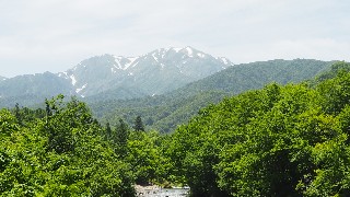 f:id:Minow:20230708153022j:image