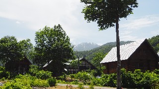 f:id:Minow:20230708153113j:image