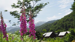 f:id:Minow:20230708153133j:image