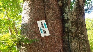 f:id:Minow:20230730195939j:image f:id:Minow:20230730195939j:image
