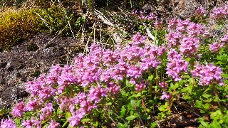 f:id:Minow:20230806175502j:image