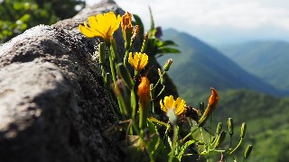 f:id:Minow:20230806175646j:image
