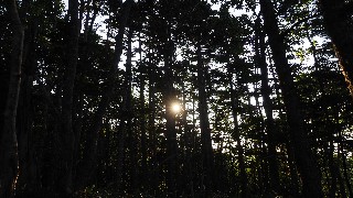 f:id:Minow:20230806180321j:image