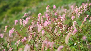 f:id:Minow:20230827153555j:image