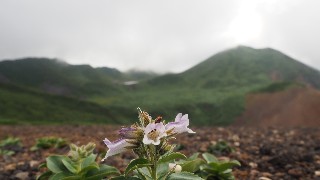 f:id:Minow:20230827163400j:image