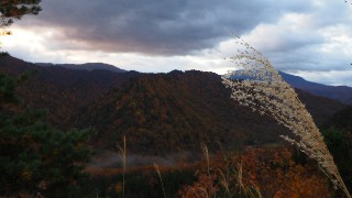 f:id:Minow:20231024212042j:image