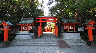f:id:Minow:20231121081934j:image