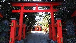 f:id:Minow:20231121082033j:image