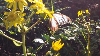 f:id:Minow:20231121082337j:image