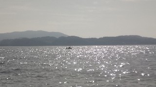 f:id:Minow:20240518201132j:image