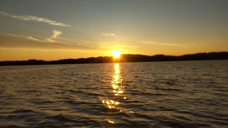 f:id:Minow:20240616092937j:image