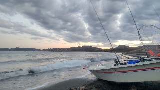 f:id:Minow:20250216101459j:image