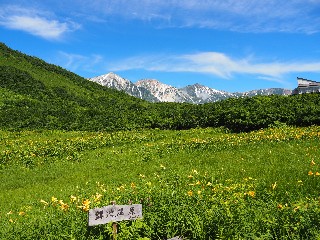 f:id:Minow:20250726193656j:image