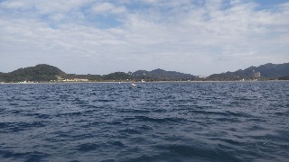 f:id:Minow:20251109141802j:image